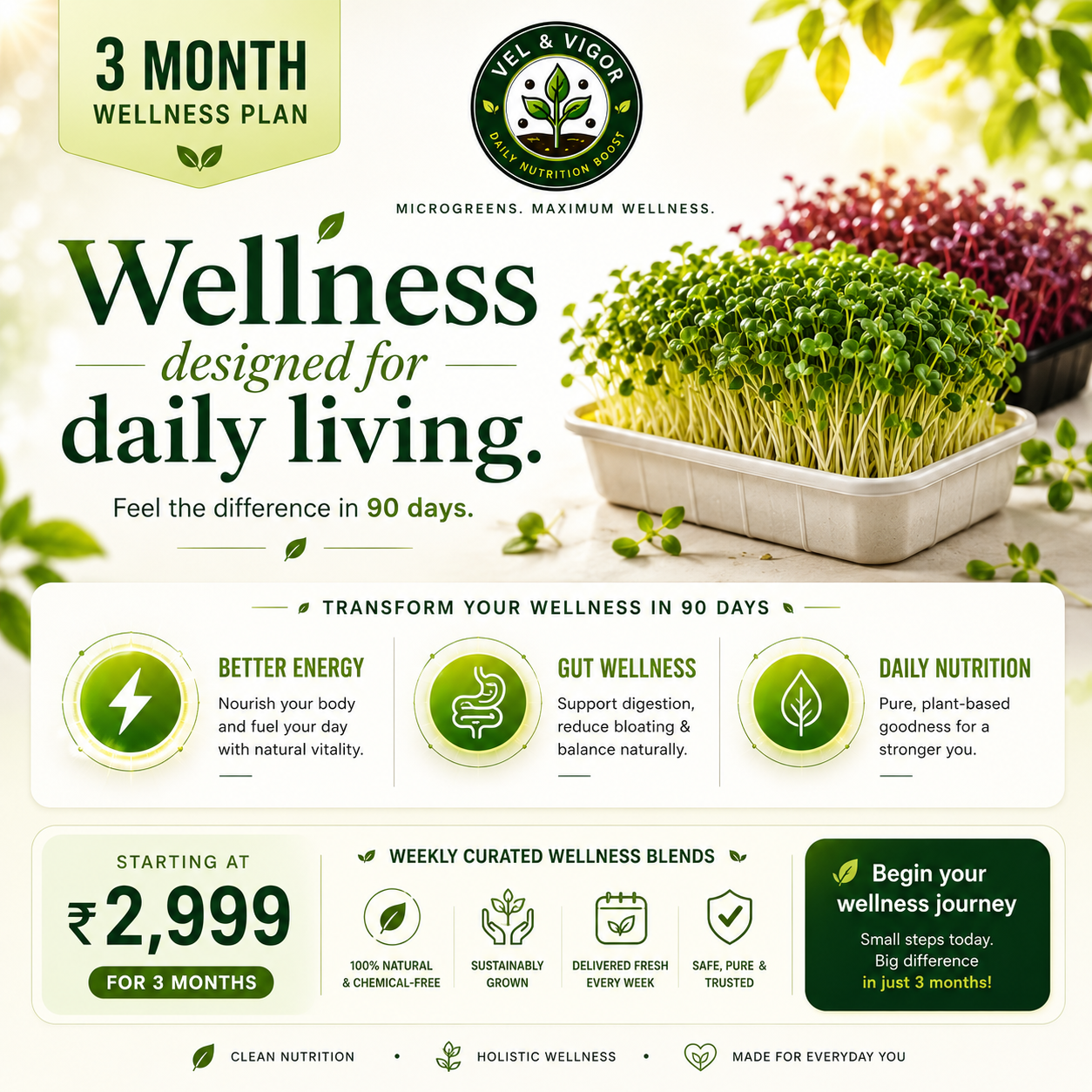 3 Month Wellness Plan