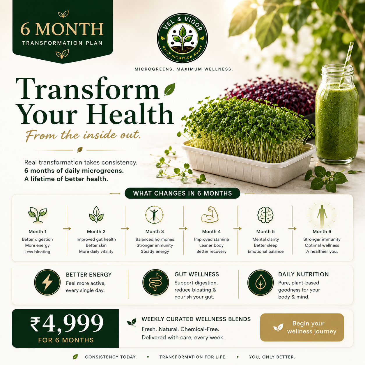 6 Month Transformation Plan