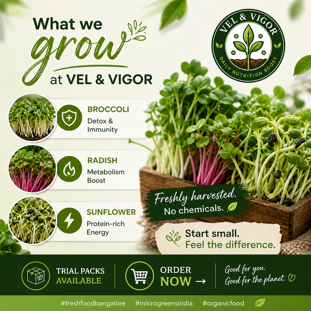 VEL & VIGOR microgreens product poster