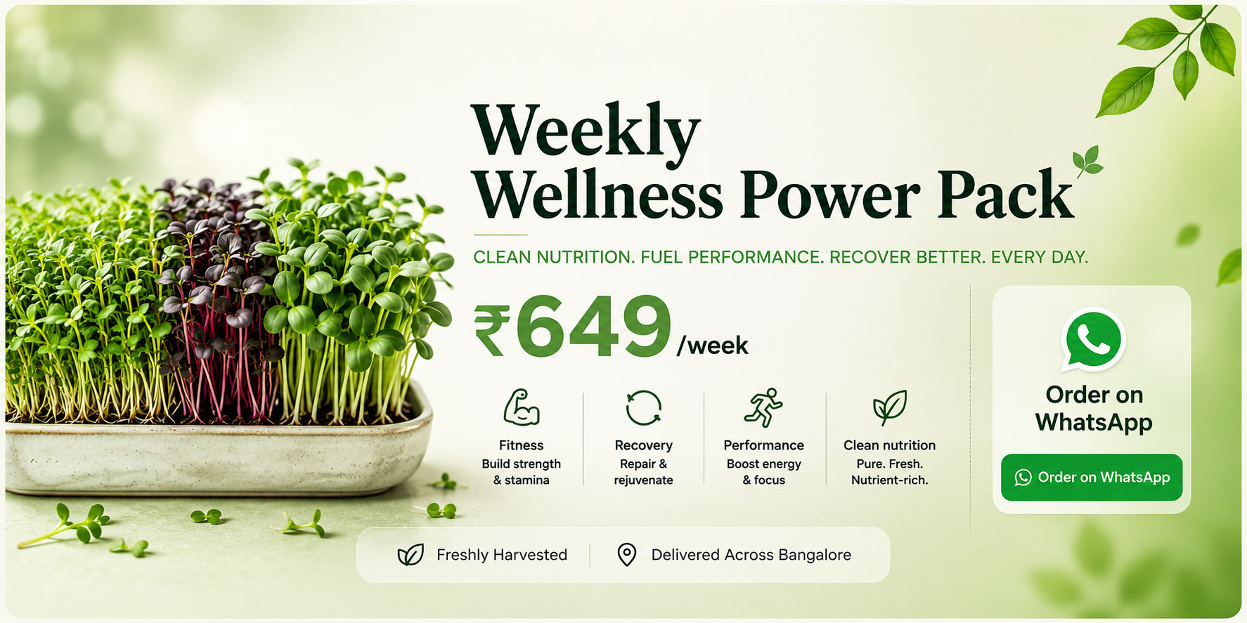 Fitness Trio Vitality Box